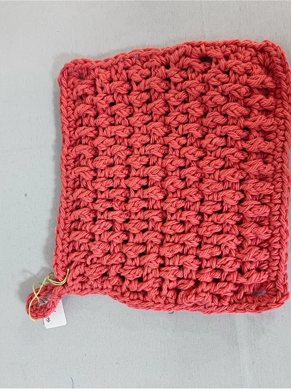 Handmade Crocheted trivets and Dishcloth - Coral & Green Set